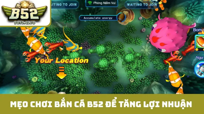 Mẹo chơi bắn cá B52 để tăng lợi nhuận 